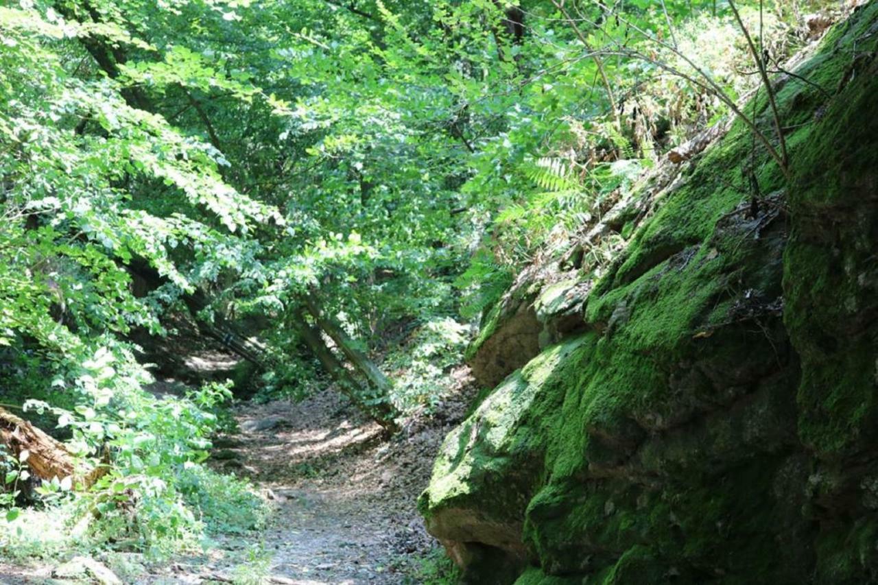 Gaestezimmer Rolea Duernstein Exterior photo